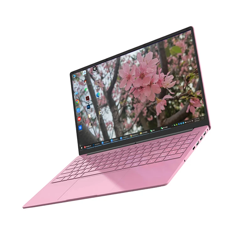 Supplier Laptop Computer 12GB DDR4 RAM 256GB SSD Hard Drive Pink Color Intel Core Celeron N5095 Laptops
