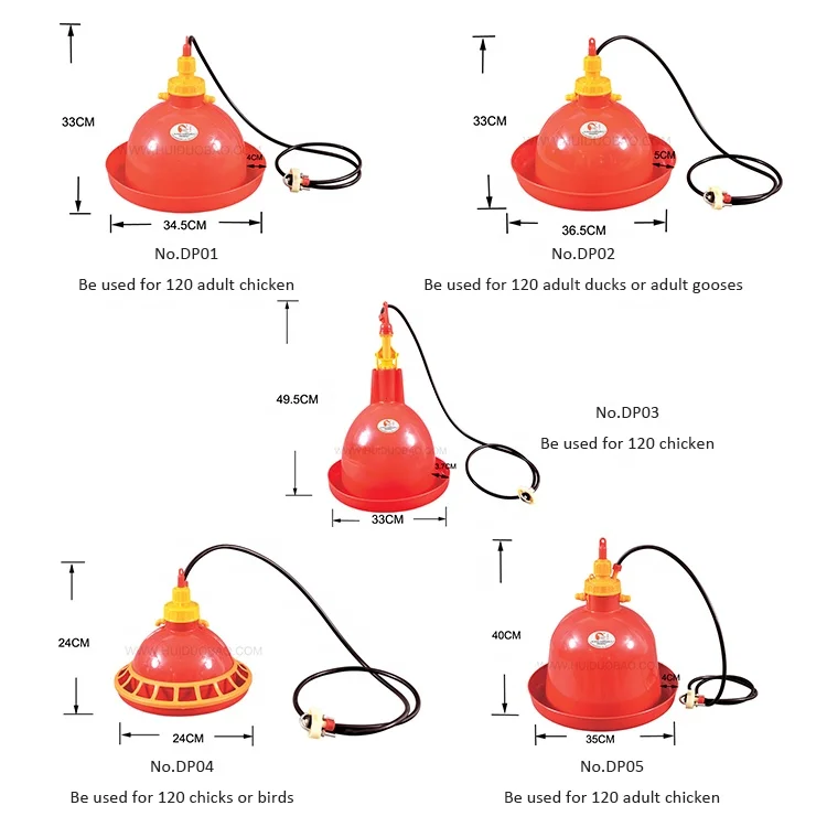  Хорошее качество для голубь птицы перепелиное яйцо птицефабрика автоматический куринный пьяница