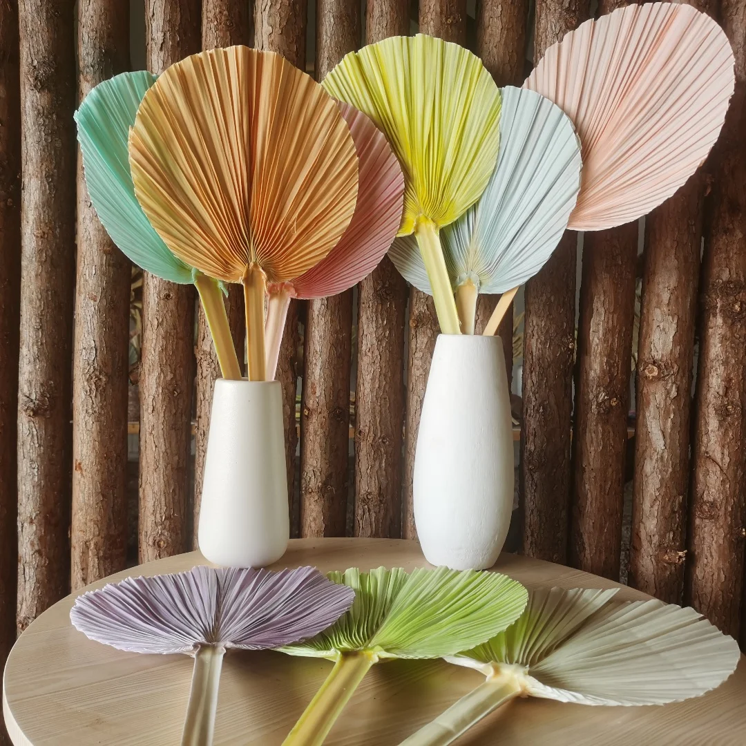 C137 Eco-Friendly Natural Dried Palm Leaves Colorful Palm Tree Leaves Dried Palm leaves For Hotel Wedding Decor