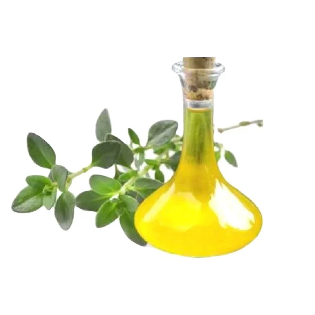 Thyme oil at affordable price from India with best Quality