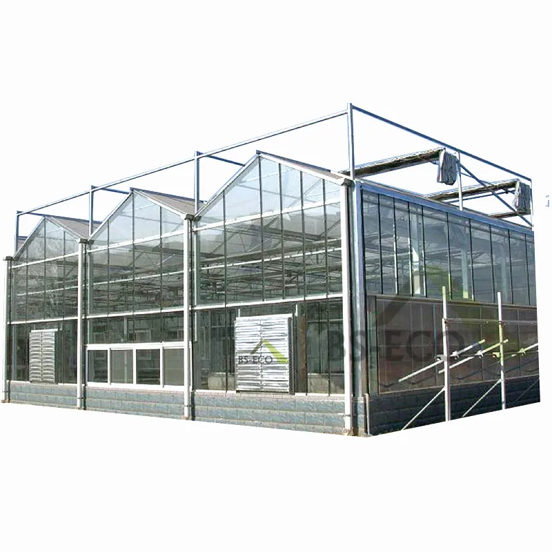 Multi-span glass greenhouse planting vertical farming Nft hydroponic system for tomato lettuce growing