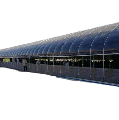 Wholesale Large Indoor Agriculture Greenhouse Square Arch Tunnel for Plant & Animal Breeding Single Layer Film & Steel Material