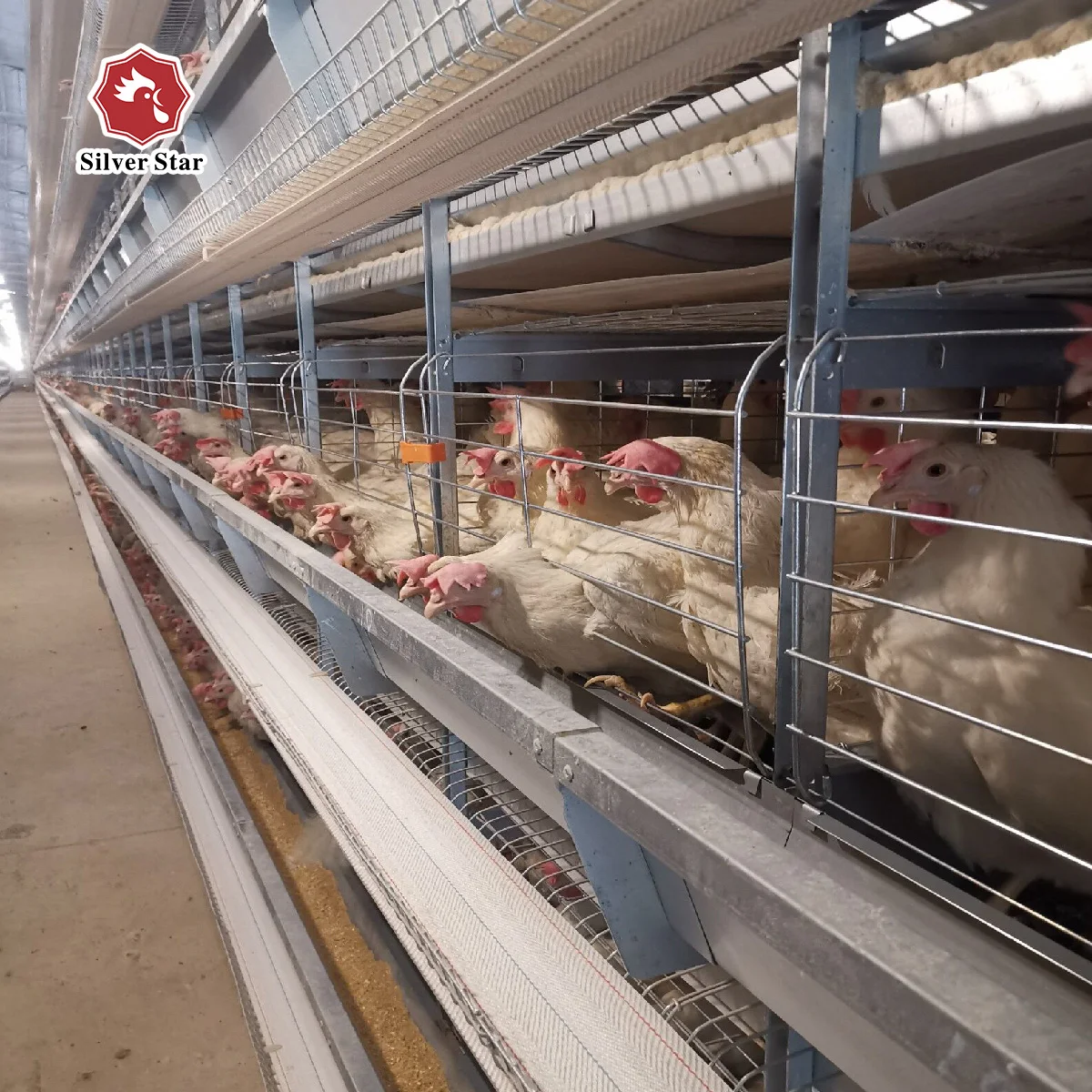 Система клетки для кур с силосом для корма