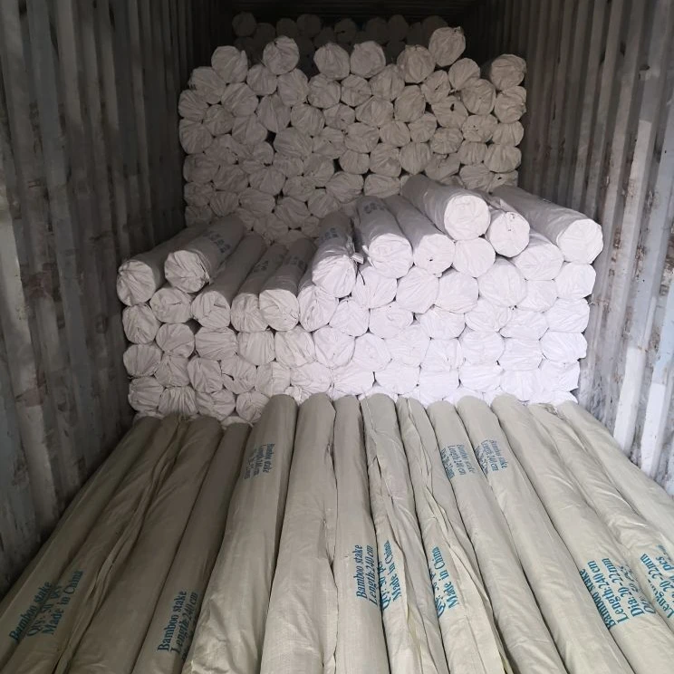 Bamboo Canes/ Bamboo Pole/ Raw Bamboo cheap price from Vietnam