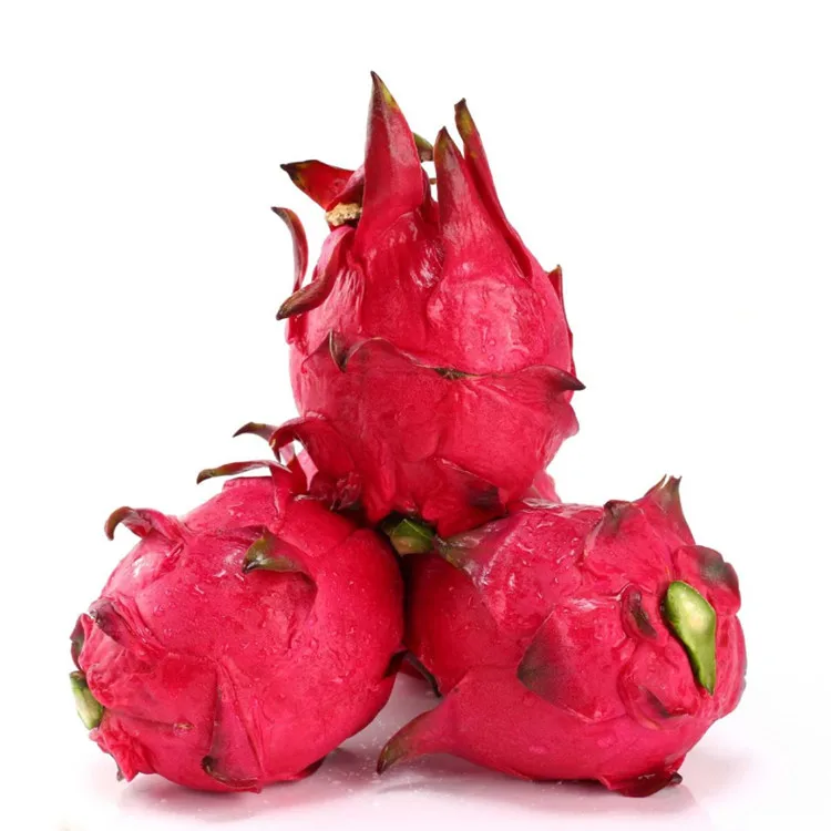 Shanghai Herbary Sale Red, Yellow, White Pitaya Fruit Seed For Planting