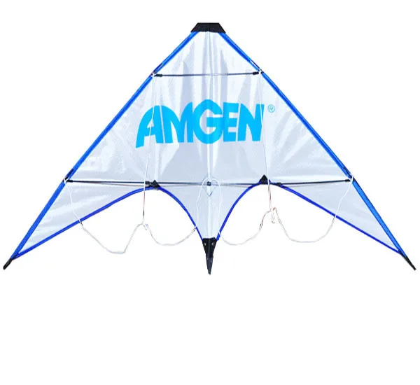 customized  delta dual line stunt kite