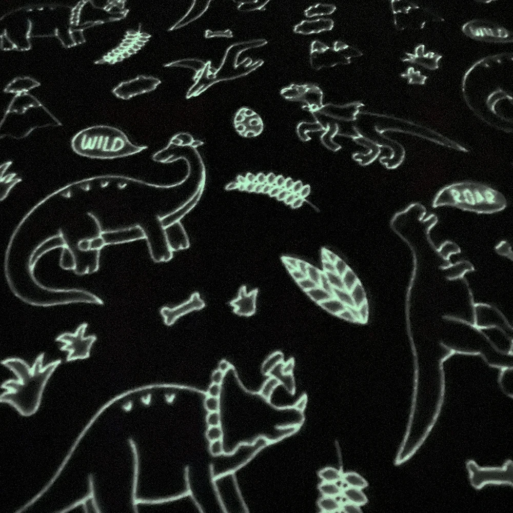 Premium Dinosaur Inviting Design Fluorescent Flannel Fleece Magic Blankets Glow In The Dark Unique Throw Manufacturer