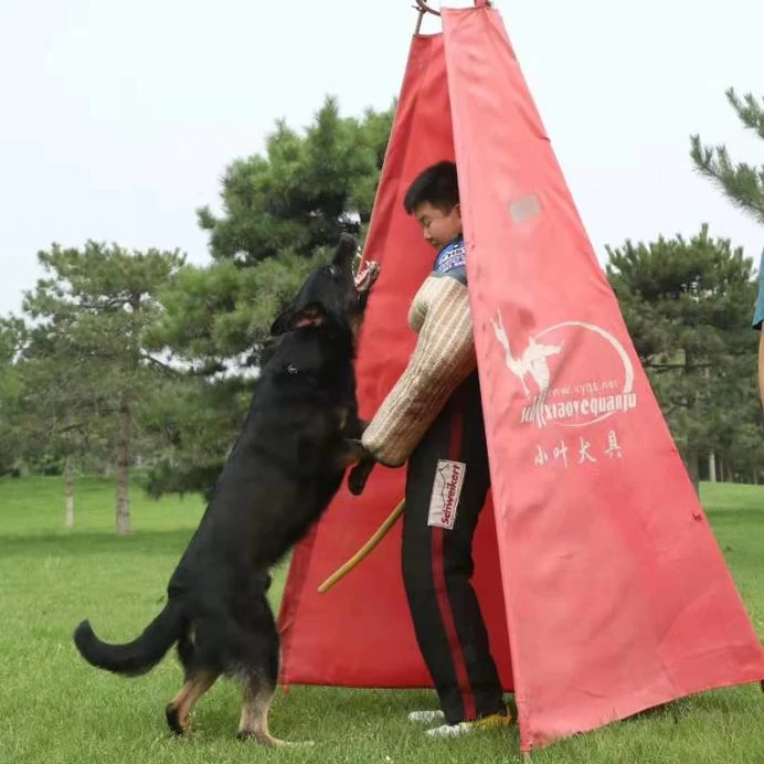 training dog working dog Large Blind for IPO