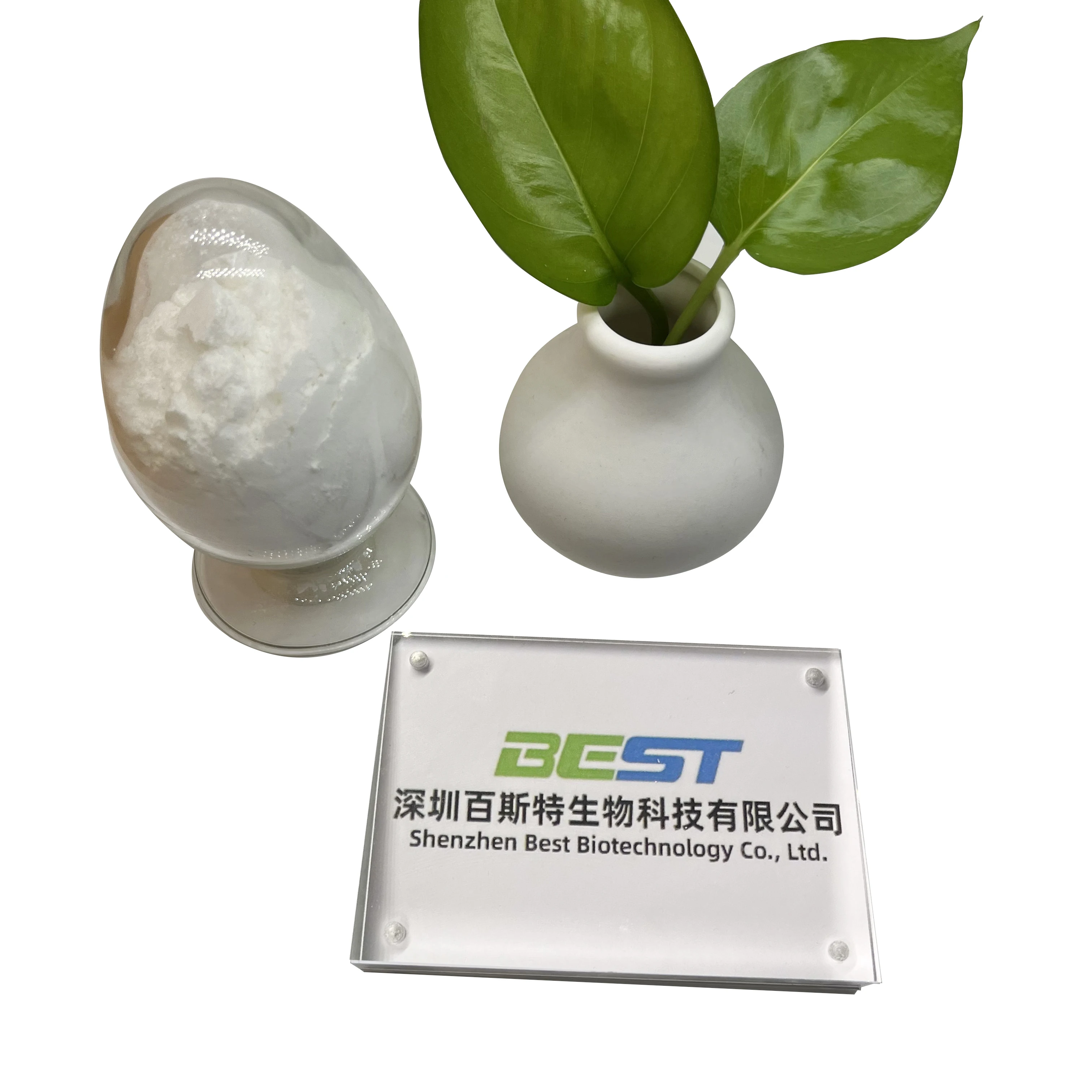 Hot sale 2-Phenylacetamide cas 103-81-1 C8H9NO with lowest price