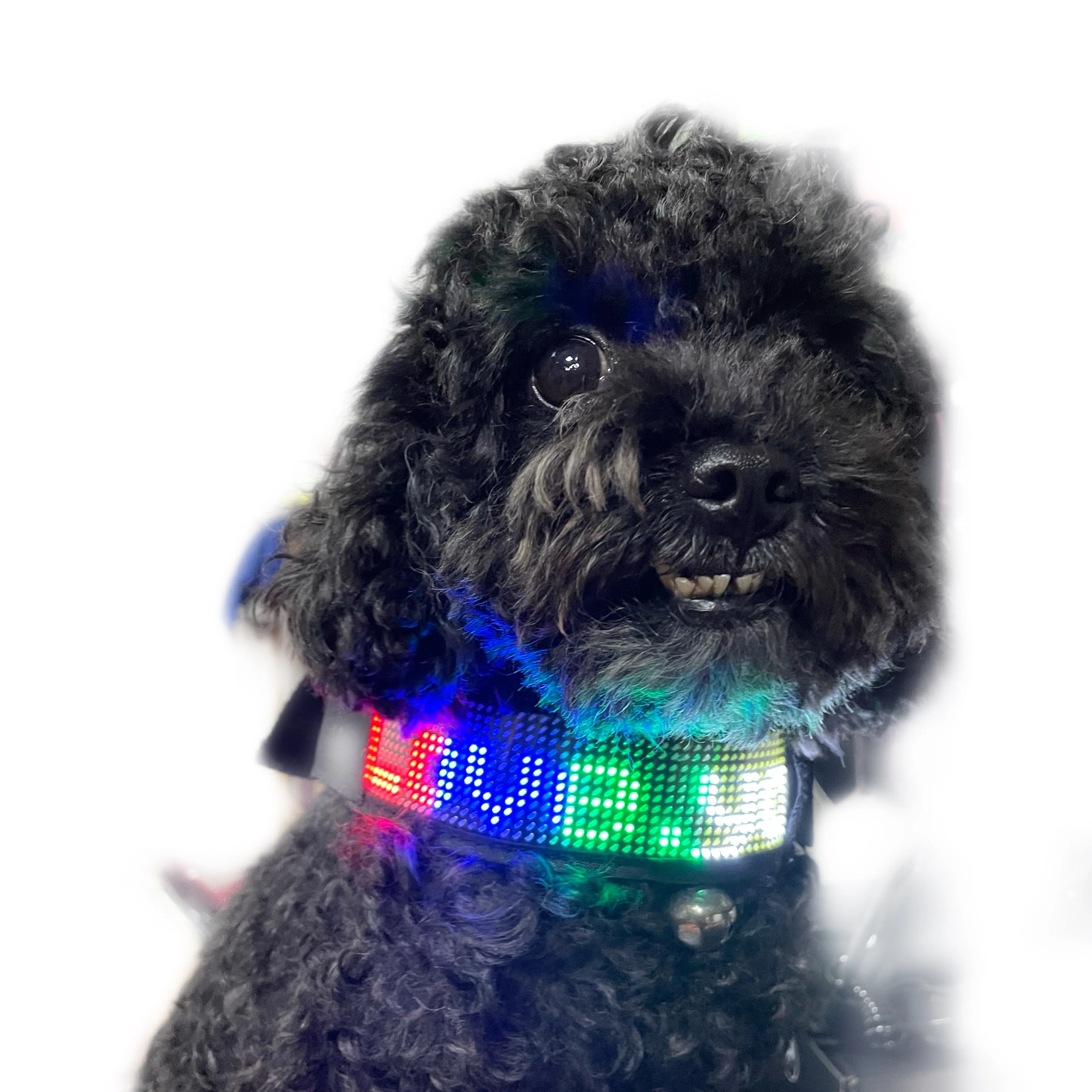 Hot Pet Wear Led APP Programmed Display Dog Collar Luminous Light Up Dog Belt Necklace