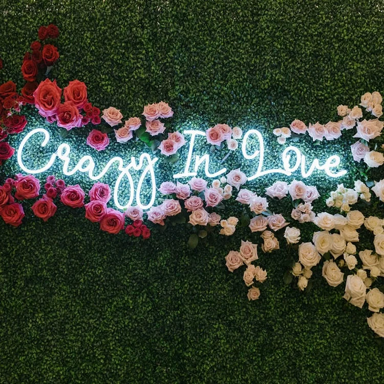 
Wholesale durable Customizable Led Neon Light Decoration Home Neon Lamp 