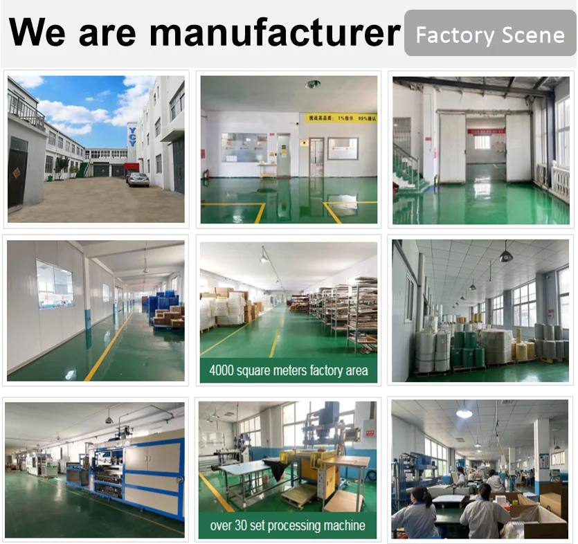 Wholesale customized double side disposable blister PET Transparent plastic clamshell packaging