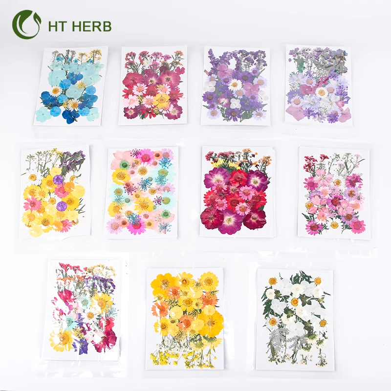 Hot Selling Dried Flowers Resin Jewelry Dry Flowers Plants Dried Pressed Flowers Natural for Resin Candle Material