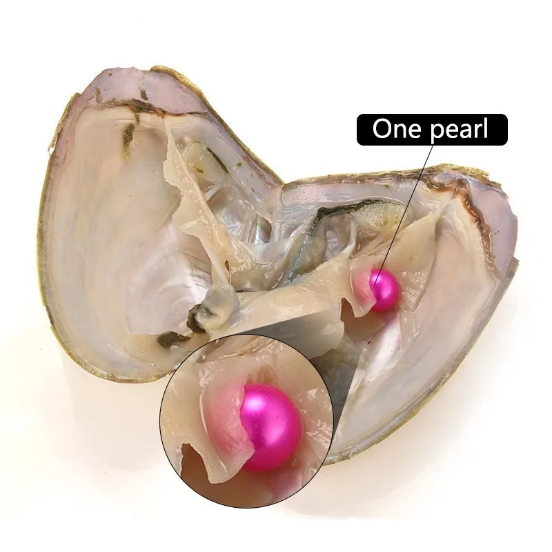 
2021 Natural Big Round Pearls Loose Beads Cultured Fresh Oyster Pearl Mussel Farm Supply Dropshipping Wholesale 5-7mm Multicolor 