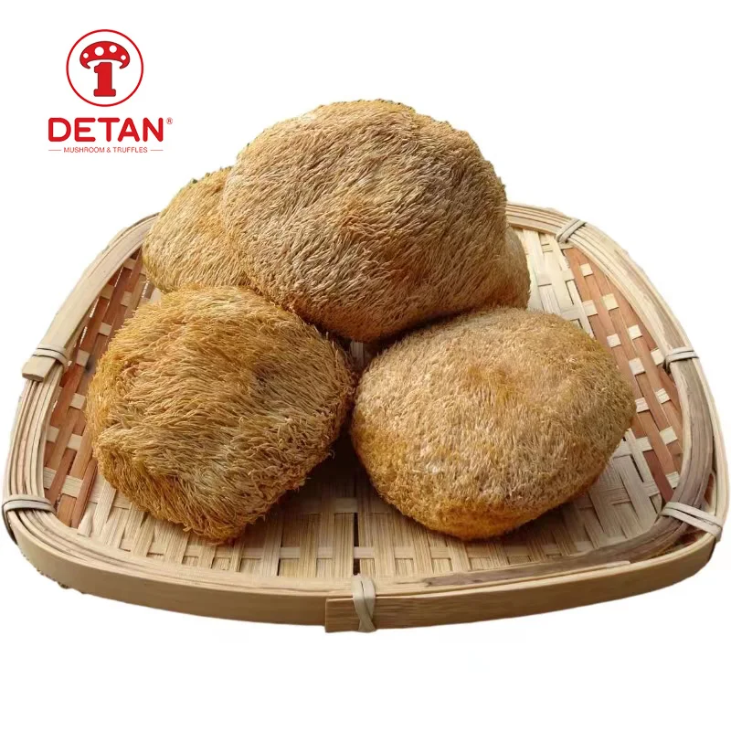 Pure natural artificially cultivated raw Hericium fungus erinaceus mushroom whole dried lion mane mushroom