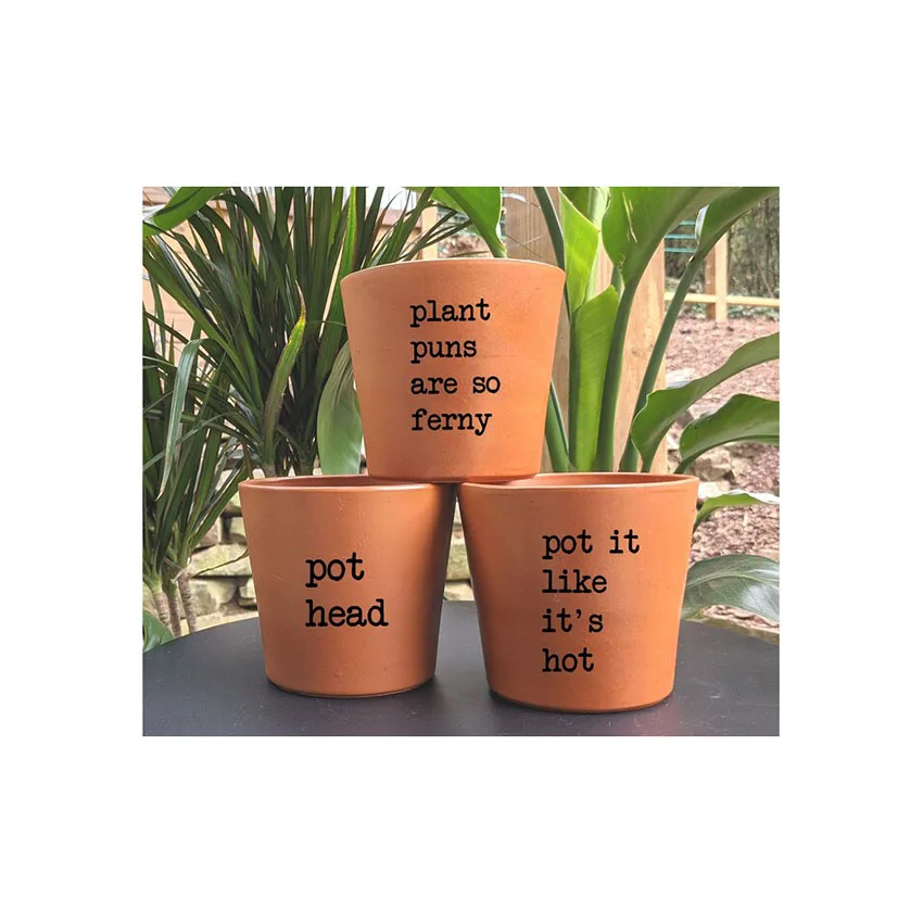 simple terracotta flower succulent pot desk ceramic planter pot with custom decal logo texts