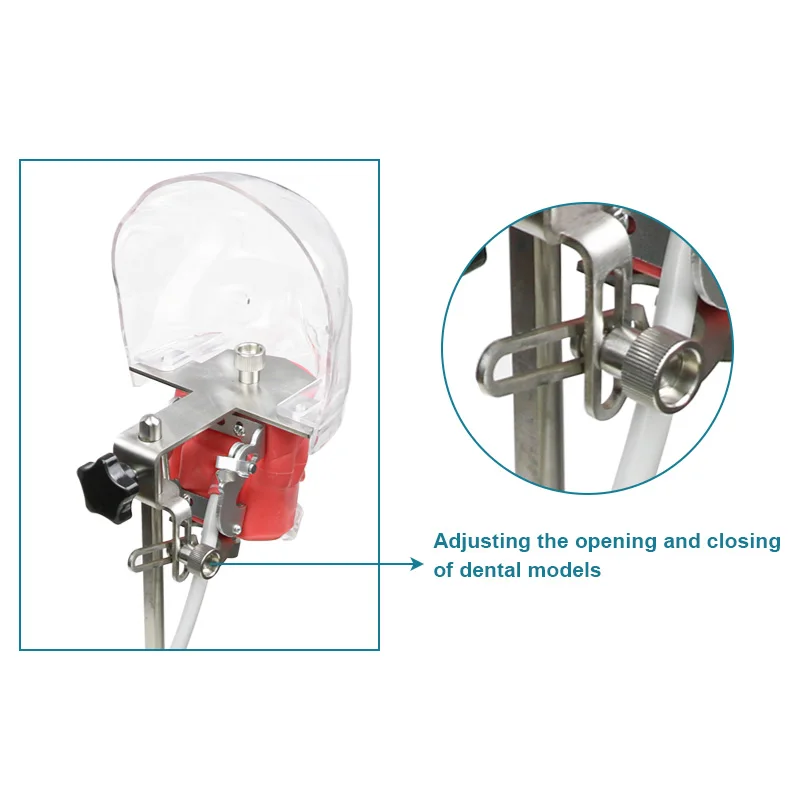 dental equipment Medical Dental Model Simulation Practice Simulator Dental Simulator Phantom Head Model