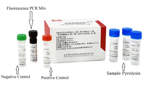 
Real-time PCR test for ASFV Rapid Detection Kit of African Swine Fever Virus ASF 