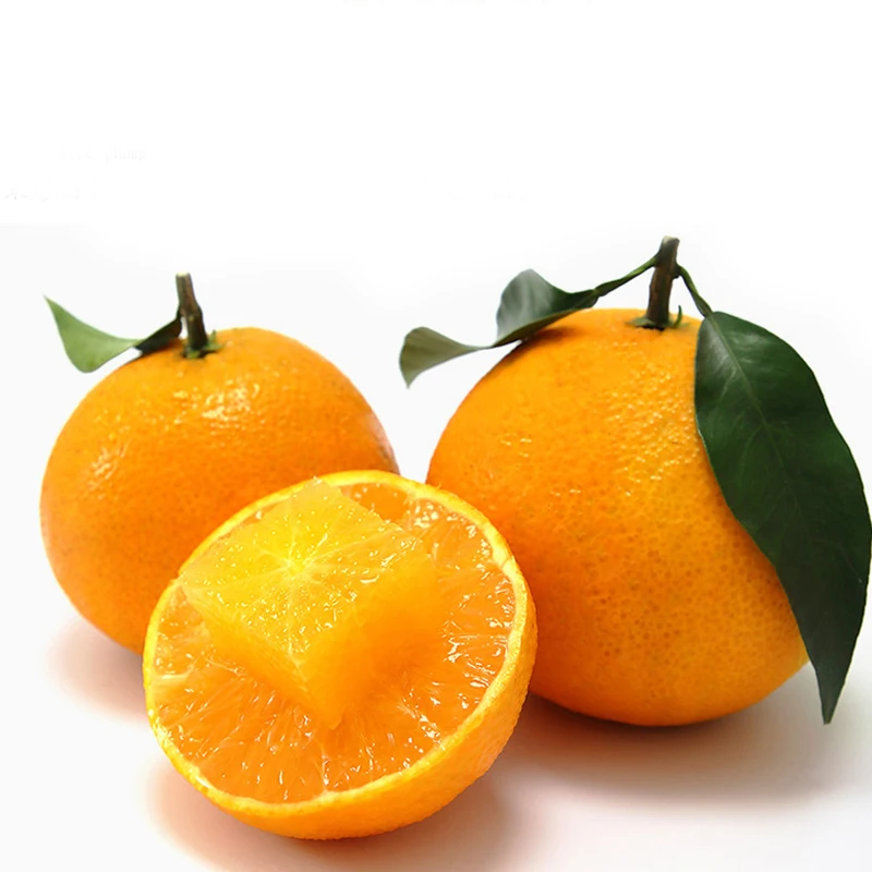 China Hot-selling Finest Quality Navel Orange Fresh Year Round NEWEST CROP 7 Kg - 15 Kg 90% Maturity Grade 1 Grade Healthy 10 Kg