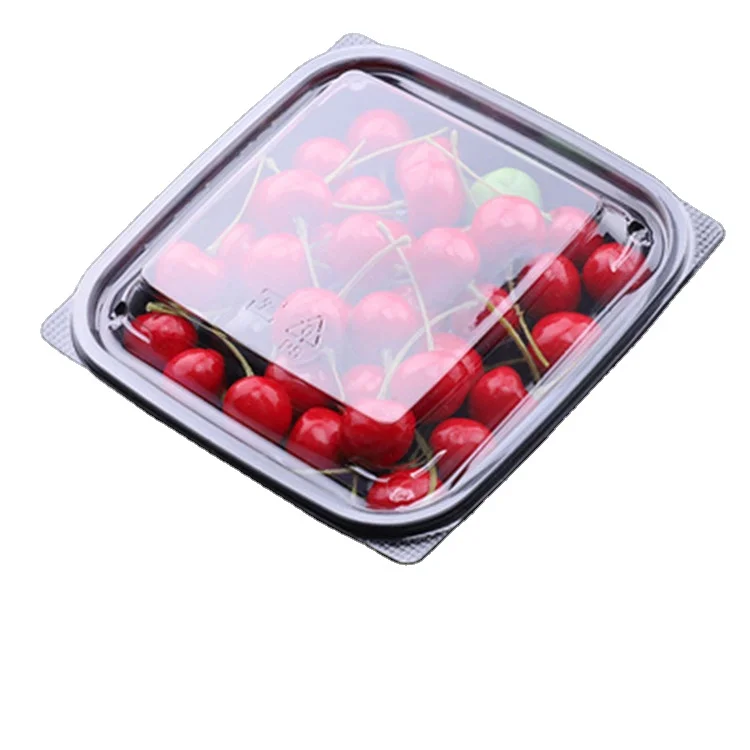 Wholesale disposable round divider PET packing fruit vegetable plastic box  for fruit vegetable