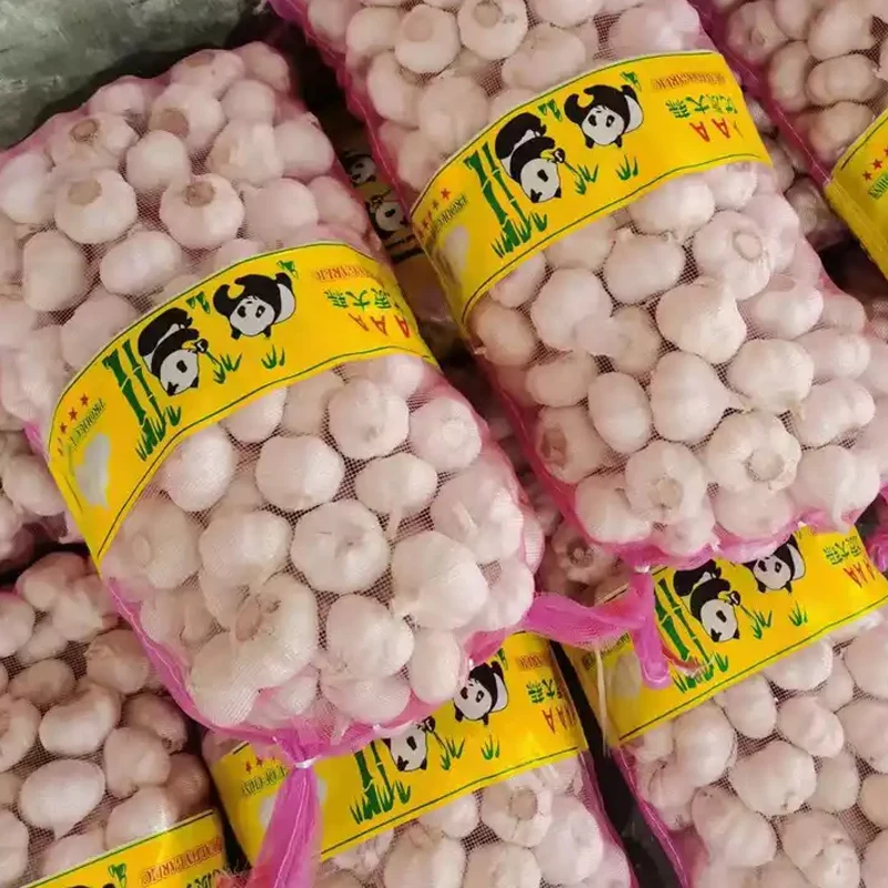 buy chinese bulk fresh export china garlic wholesale exporters turkey yemen box 10kg exporters for sale garlic