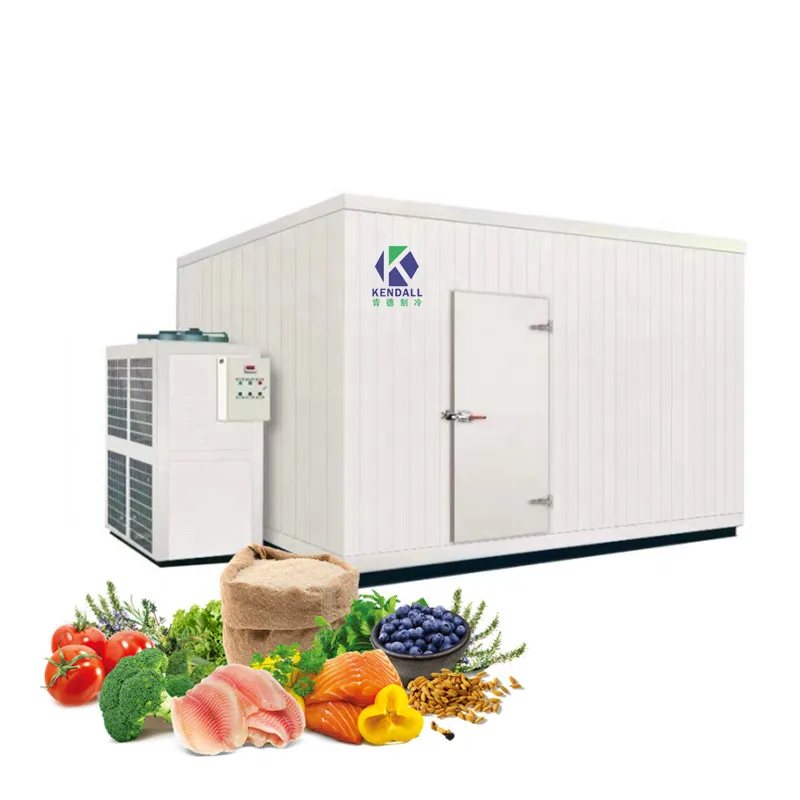 Frascold compressor solar powered coldroom Walkin freezer for meat,fruit ,vegetables etc