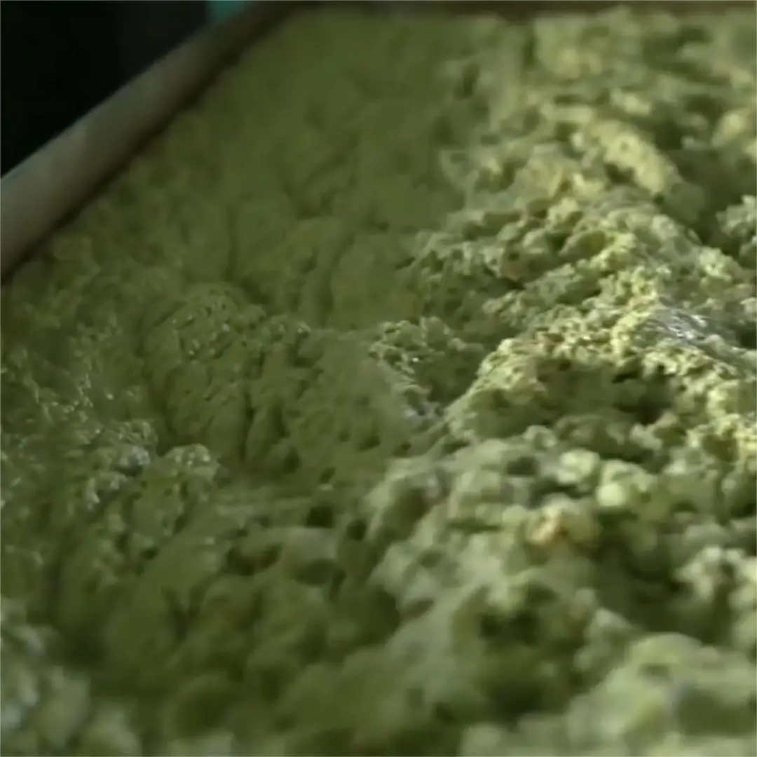 Cold pressed amla seed bio oil bulk Supplier,1kg Organic Indian gooseberry infused Carrier Oil long Hair Oil For Hair Growth