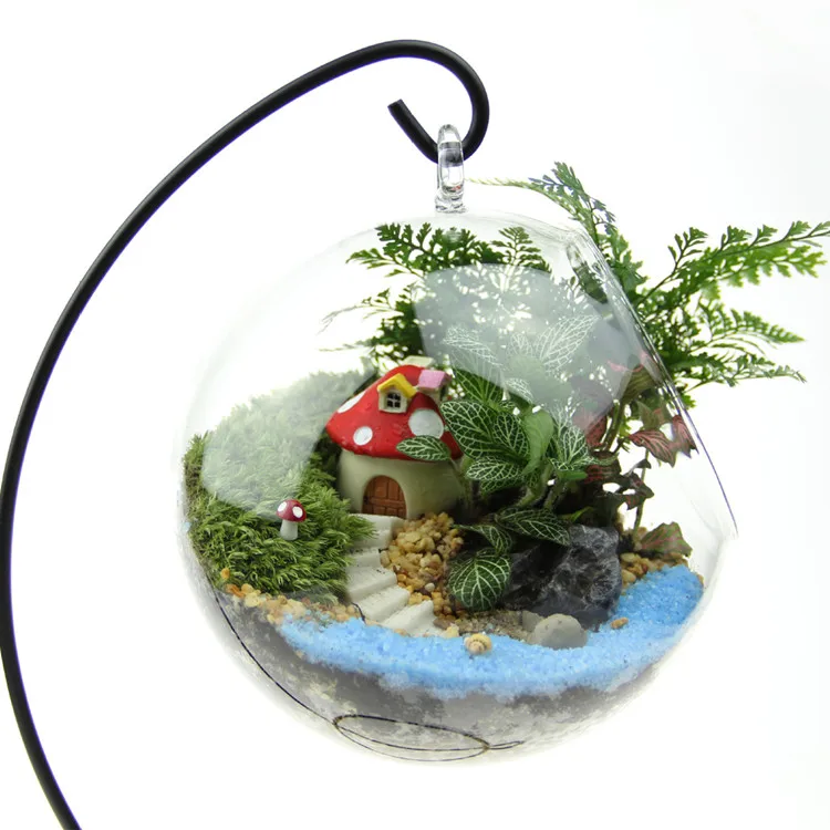 Clear Glass Terrarium Hanging Globe Planter for Moss Succulent Plants Small Large Size Home Garden Decoration Double Flower Pot