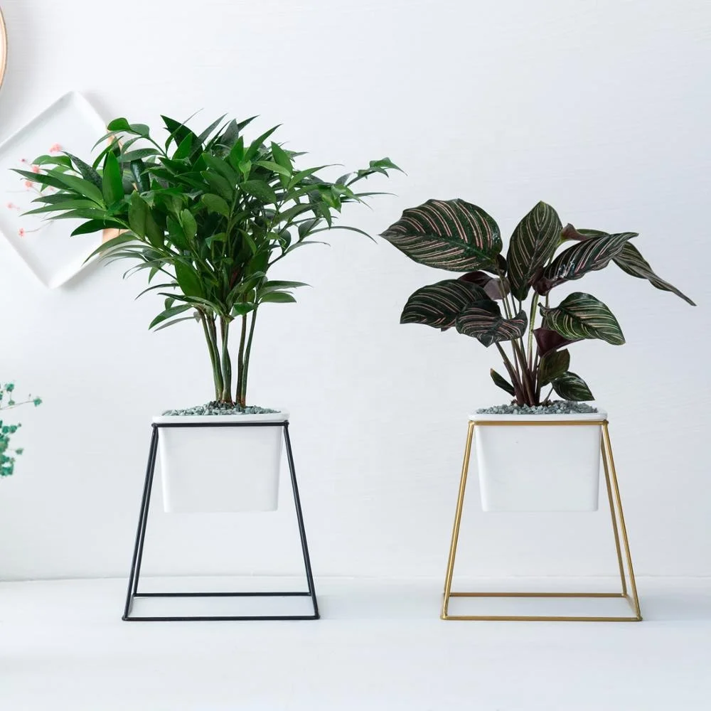 
Nordic Simple Iron-Art Ceramic Four-Square Trapezoid Multi-flesh Flower Frame Ins Green Flower Planter 