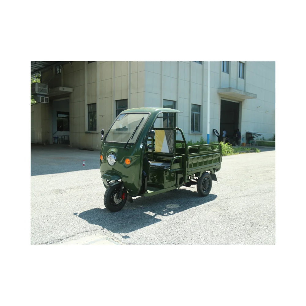 Three Wheel Cargo Bike Carry Goods EEC 1000W Electric Tricycles with Front windshield