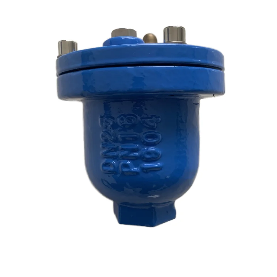 Customizable Single Automatic Air Release Valve Screwed Vent for General Use Manual Power with OEM Support for Gas Media