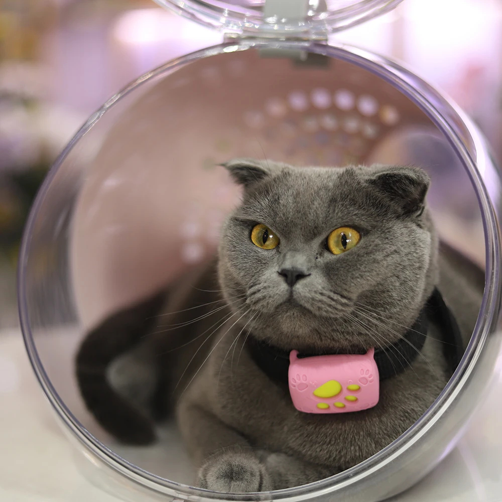 pet gps tracking Cats Collars Dog GPS Tracker/ Pets Tracker collar anti-loss device waterproof miniature tracker