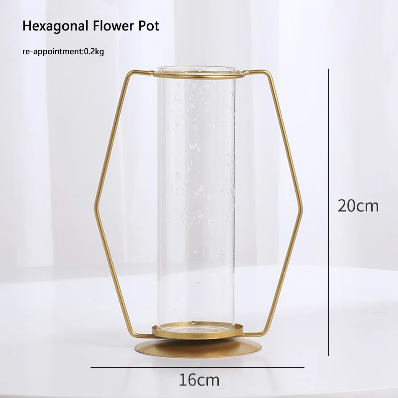 Plant Round Glass Bottle Hydroponic Glass Vase For Flower Or Water Plant With Metal Support For Home decoration
