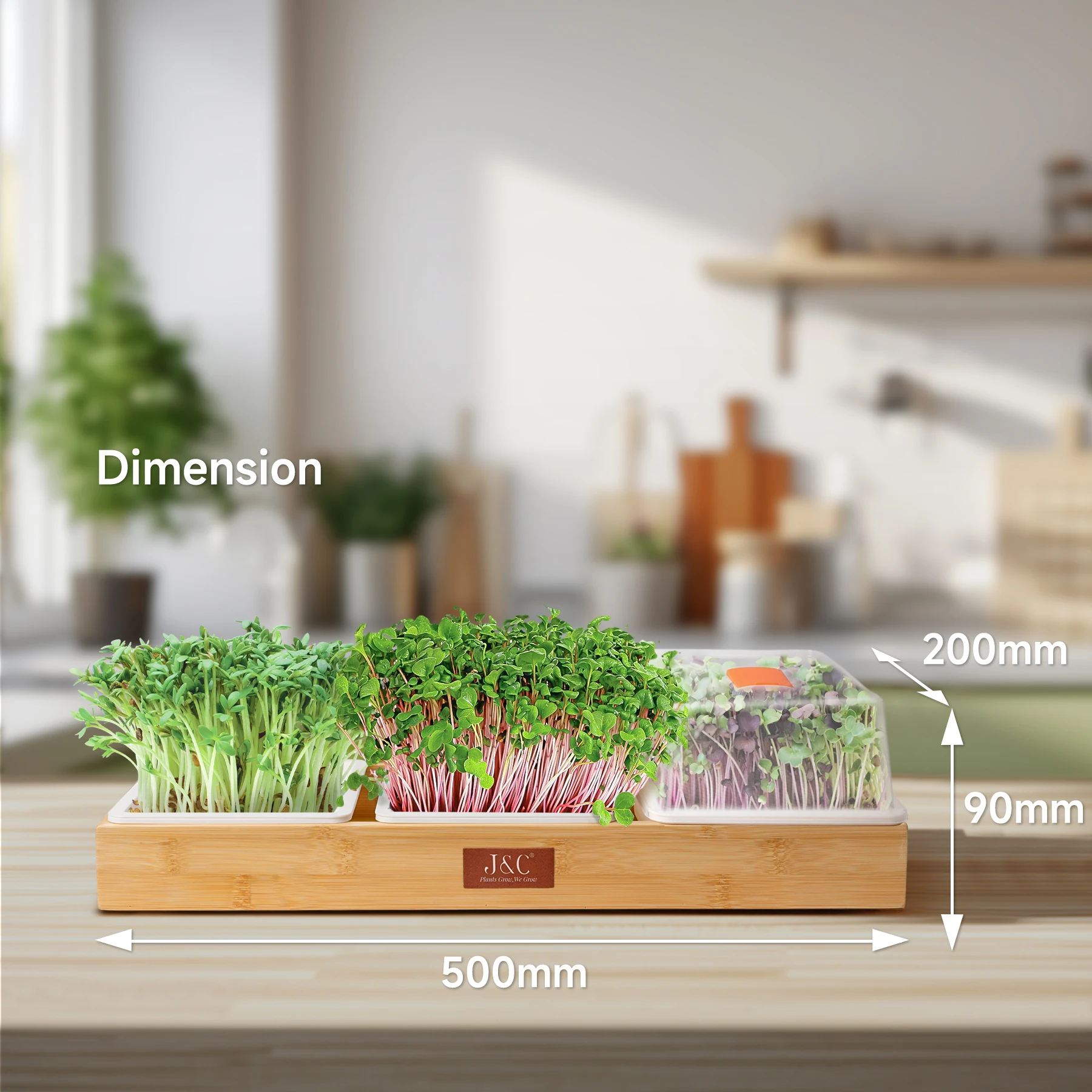 J&C for Fitness Growing Microgreen Seed Baby Nutritional Trays Germinate Pet Grass