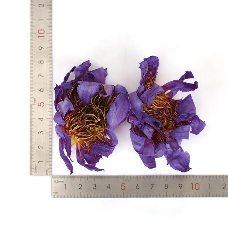Factory Price Hot Sale China Wild Dried Blue Lotus For Tea