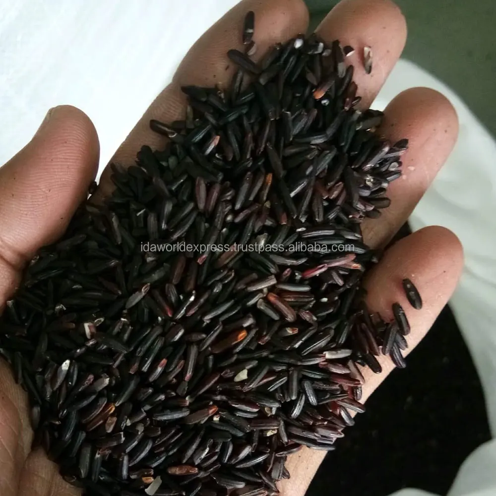 
Black Jasmine Rice Best Benefit Than Brown Rice 1 Kg Bags Knowing In Name Of Thai Rice Berry 