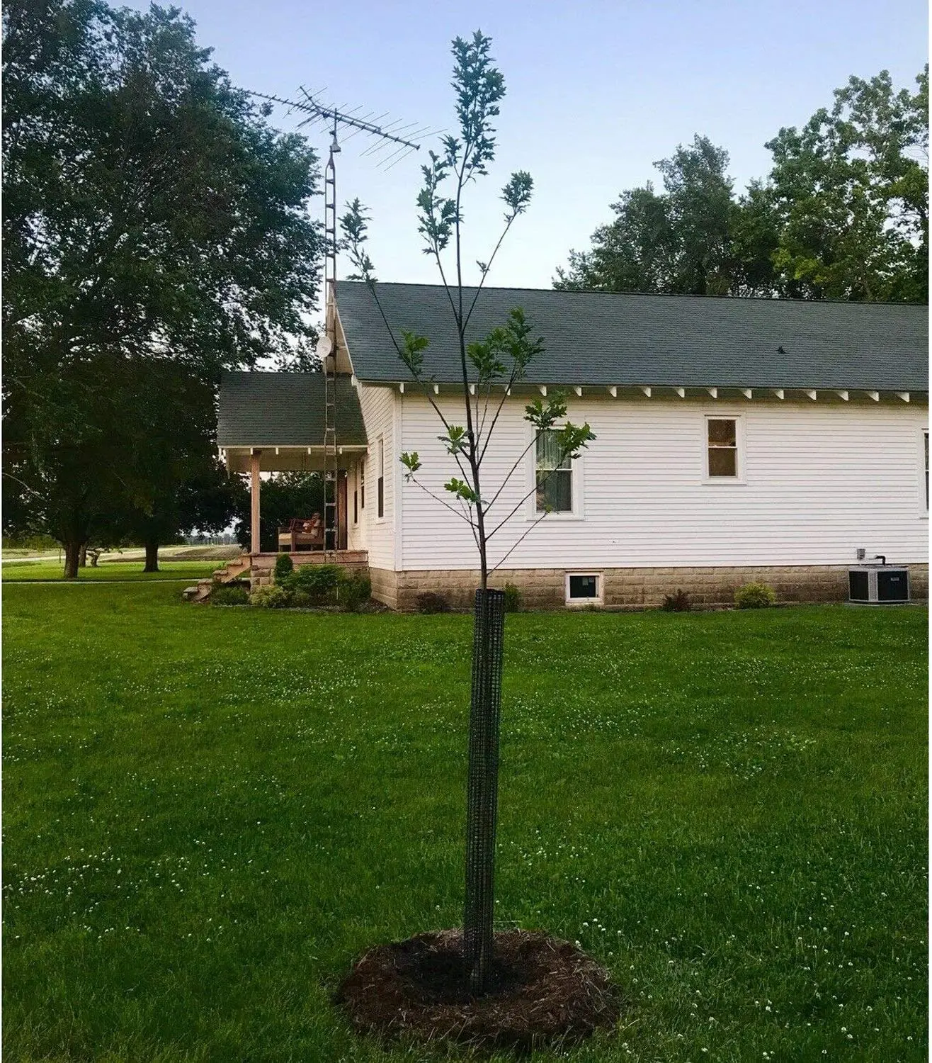 5 Pack 36 Inches Tall Tree Bark Protector Guard, Tree Nursery Protecting Mesh, Tree Trunk Protector