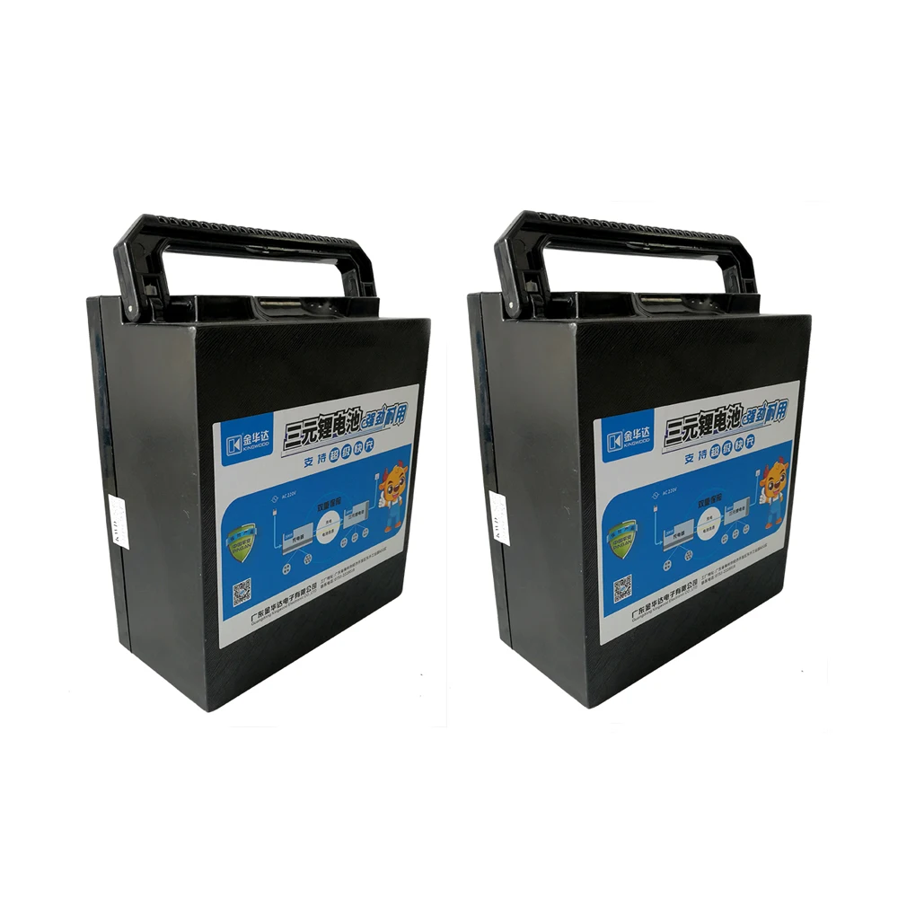 
Customizable 36V 48V 10ah E-Bike Portable Auxiliary Battery 