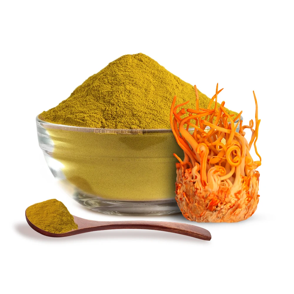 wholesale bulk herbal extract cordyceps extract brown-yellow powder organic cordyceps extract powder