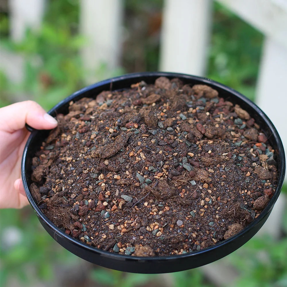 
Meshpot organic soil fertilizer for succulent Cactus plants 