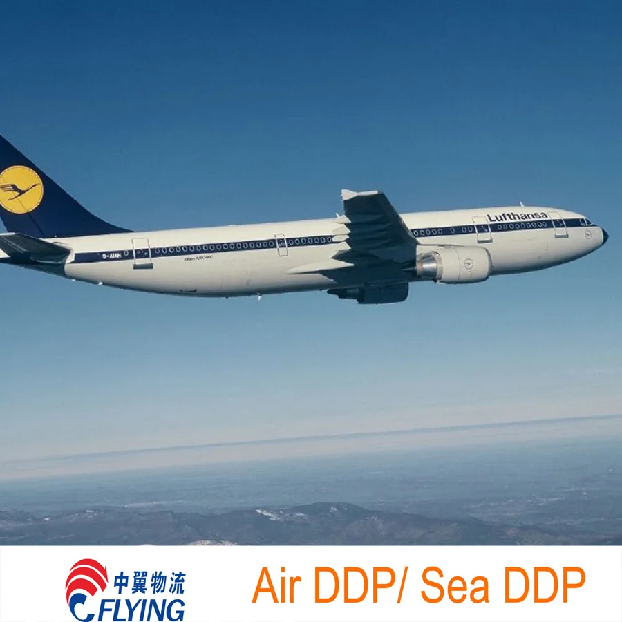 China To Vietnam Door To Door Shipping Service Freight Forwarder ddp  DHL UPS FEDEX TNT