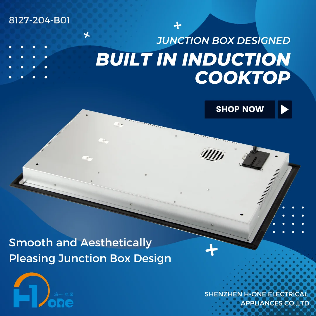 OEM/ODM Auto switch off built in 2 burner induction cooker