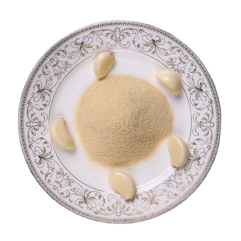 Best Quality Manufacture Strong Taste Dehydrated Garlic Air Dried Garlic Powder