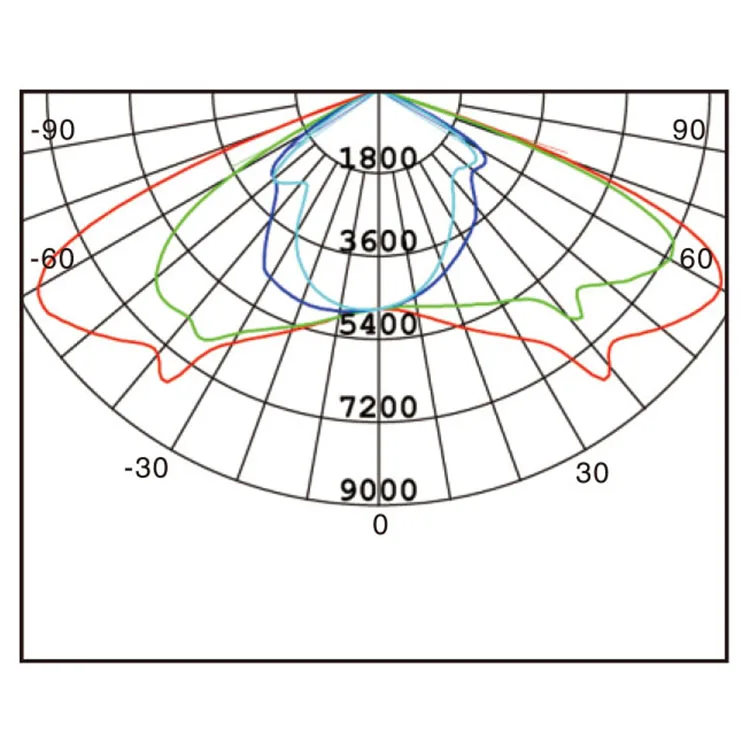 200w 002.jpg