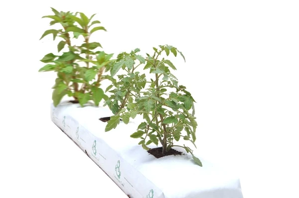 COCOPEAT GROW SLABS - PERFECT SOLUTION FOR GROWING STRAWBERRIES, TOMATOES, MELON FROM INDONESIA WITH LOW EC, QUALITY