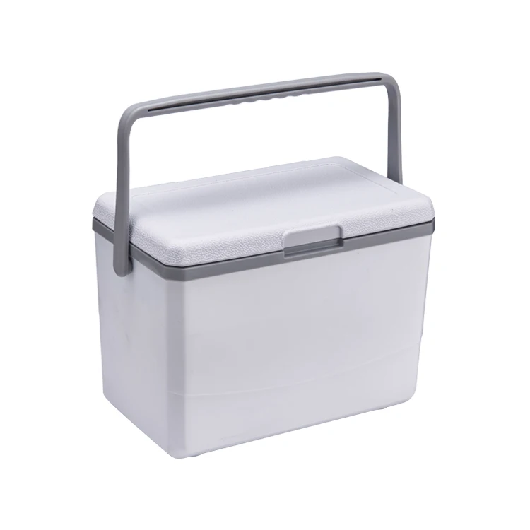 Promotional Portable Mini Plastic Ice Box 3L Small Cooler Box Food Fruit Drinks cold Storage Container