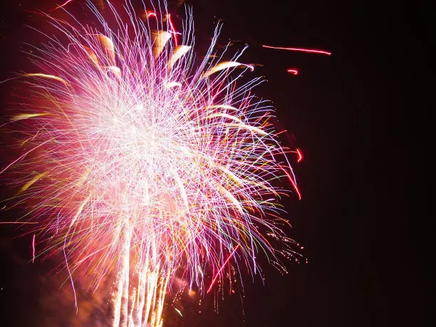 High Quality Pure Aluminium Powder Al Powder 99.9 % for Fireworks pigment paint