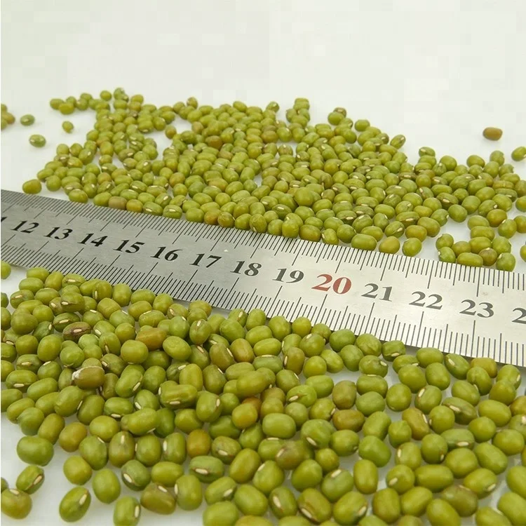 OEM ODM Mung Beans Custom Small To Medium Round Green Mung Beans 2023 Wholesale Peeled Mung Bean