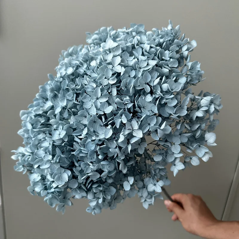 Wholesale the Real Touch Natural Dried Hydrangeas flowers artificial Preserved Hydrangea for wedding Decorations