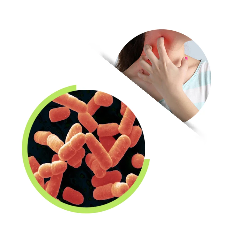 Поставка Lactobacillus salivarius lactobacillus пробиотики порошок для здоровья